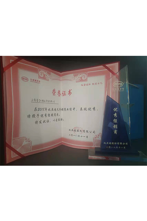 舟山市比亚迪2018优秀经销商